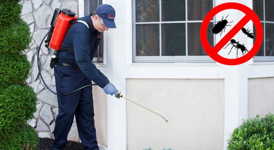 Keçiborlu Gümüşkurt İlaçlama böcek ilaçlama ve haşere kontrolü — ilaclama-tr.com